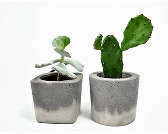 Concrete Square round Planter for Succulent Cactus Grey Urban Industrial Planter Home Decor