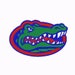 10 Size Florida Gators Embroidery Designs Instant Download 8 Formats machine embroidery pattern
