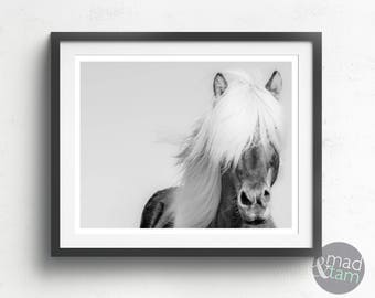 Horse Print, Horse Photography Wall Art, Black And White Animal Art Print, Printable Poster, Printable Art, Nursery Decor, Wild Horse Art