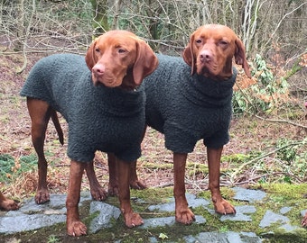Sherpa fleece dog coats