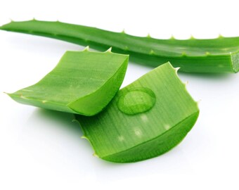 BIO Aloe Vera gel for home cosmetics 100 ml.