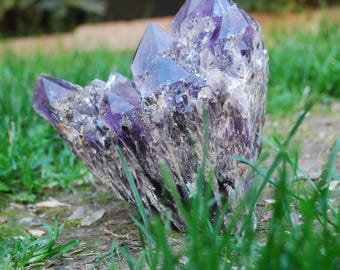 XL Amethyst Point Cluster Specimen