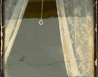 Sepia Window Crow Photograph--Anybody Home... --TTV Fine Art