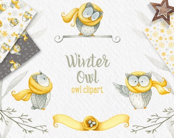 Winter Owl clipart, winter clipart, Owl clipart, digital paper, snow patterns, winter patterns, winter clip art, mustard, watercolor digital