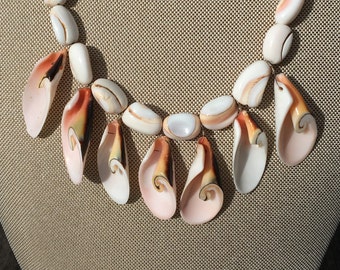 Sea Shell Delight Necklace