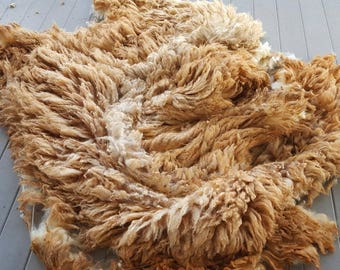 Purbred Coopworth Fleece Ewe 13 weight: 8lbs 8oz