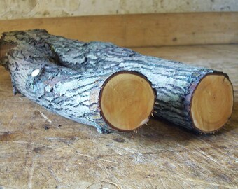 Hawthorn Log#Hawthorn Branch#Ends Sealed#Woodworking#Woodturning#