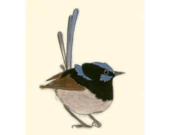 Australian bird art print - 4 for 3 SALE Christopher Wren II - 4" x 6" superb blue fairy wren print
