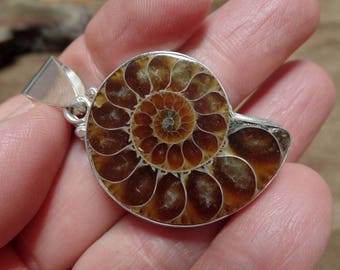 Ammonite Pendant, Sterling Ammonite Necklace, Silver Ammonite Pendant, Ammonite Gemstone, Fossil Jewelry, Brown Ammonite, 1331
