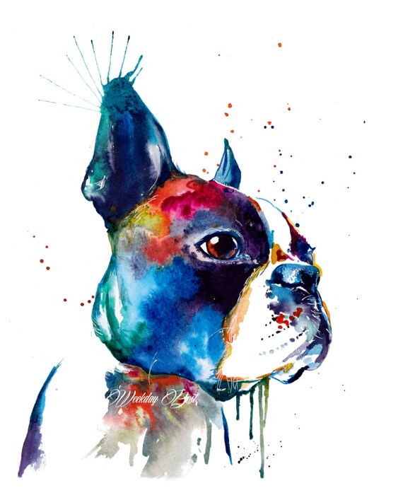 Colorful Boston Terrier Art Print Of My Original