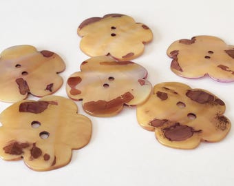 Large shell button lot 1 1/4-6pc