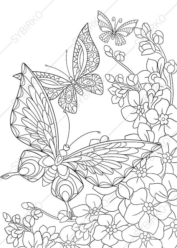  Butterfly  and Spring Flowers 3 Coloring  Pages  Animal