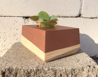 Desk Top Succulent Planter