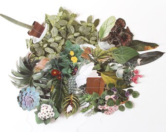 Mixed Media Paper Book Collage House Plants