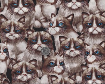 Grumpy Cat I Spy Internet Meme Cats Fabric By the Fat Quarter