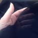 Black Organic Cotton Voile, BY THE YARD Eco Friendly Fabric Gauze for Veils, Curtains, Scarves, Home Decor Dress Craft Washable Ebony Goth