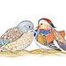 ORIGINAL DRAWING Feng Shui Symbol Love & Loyalty Mandarin Duck Couple, Comes with Certificate of Authenticity, Wedding or Engagement Gift