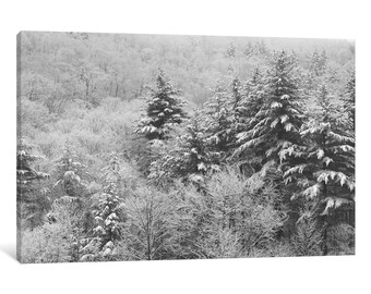 iCanvas After the Snowstorm Gallery Wrapped Canvas Art Print by Laura Marshall