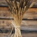 Blackbeard Wheat Bunch - 8oz
