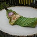 Fairy Garden Accessories Baby sleeping in leaf - terrarium supplies - fairy garden supply - miniature sleeping fairy baby - baby shower