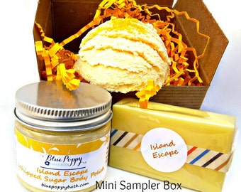 Mini Bath Set, Mini Gift Set, Bath & Body Soap Gift, Soap Scrub Bath Scoop, Gift for Her, Sample Box, Gift for Her, For Mom
