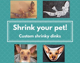 Shrink your pet! Custom shrinky dinks