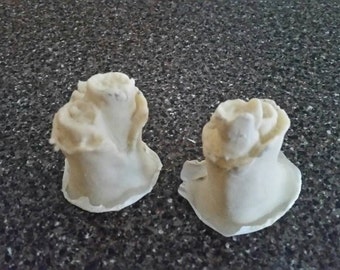 Broken off wings prosthetic (Pair)