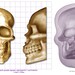 SKULL EXTRA LARGE Craft Sugarcraft Sculpey Soap Silicone Rubber Mould