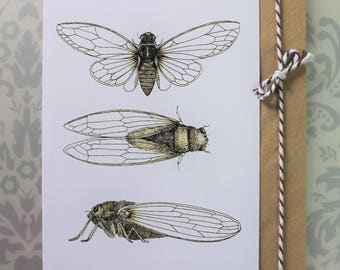 3 sepia cicadas greeting card. Blank inside.