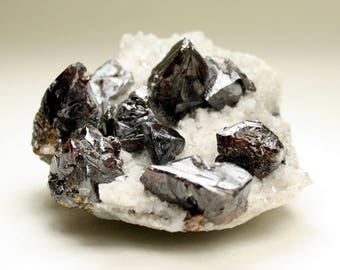 Stunning Elmwood Mine Sphalerite Crystals with Druzy Quartz