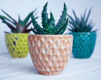 Beige Succulent Planter - Modern plant holder - Ceramic Planter - Air Plant Holder - Modern Succulent Pot - Cactus Planter Indoor Gargening