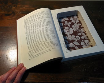 Hollow Book (Scandalous Risks)