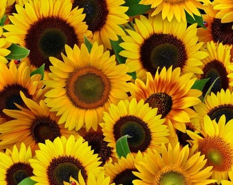 Elizabeths Studio - Sunflowers - Packed - Yellow - Fabric by the Yard 487E-YLW