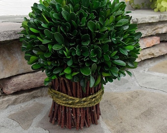 Preserved Boxwood Topiary-Farmhouse Decor-Boxwood Topiary-Farmhouse Bouquet-Boxwood Topiary Tree-Farmhouse Plant Decor-Farmhouse Plants