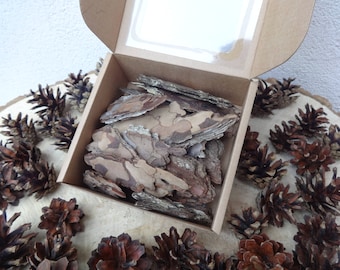 Pine bark, mixed size, DIY craft supplies, natural material, decorating, floristic material