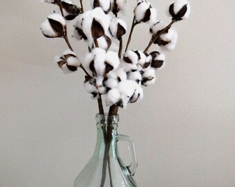 Farmhouse Cotton Stem Arrangement in Glass Jug