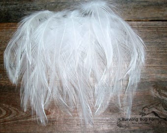 White Feather Craft Supplies White Craft Feathers Cruelty Free Feathers Natural Feathers Bird Feathers Hackle Feathers For Crafts 25 3-3.5"