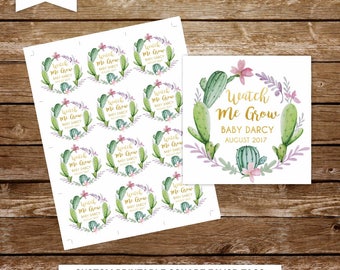 Watch me grow tags succulent favor tags plants favor tags printable wedding favor tags baby shower favor tags succulent favors 279