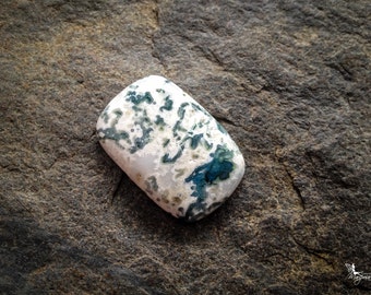 Tree agate cabochon Macrame micro-macrame jewelry supplies TA1