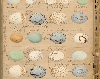 INSTANT DOWNLOAD DIGITAL Collage Sheet Bird Eggs