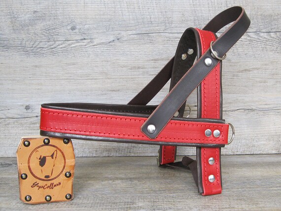 Red Leather Dog Harness, Ultra Comfort Dog Harness for Small and Large Dogs, Handmade Soft Dog Harness, Easy Walk Dog Harness, Made in Italy
