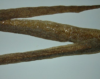 Complete Snake Shed Skin - Argentine Boa