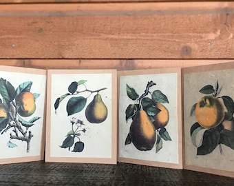 Seed Paper Cards / Set of 4 / Plantable / Vintage Designs