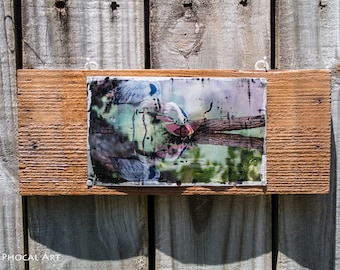 Wildlife Photo Printed on Upcycled Can - Great Blue Heron