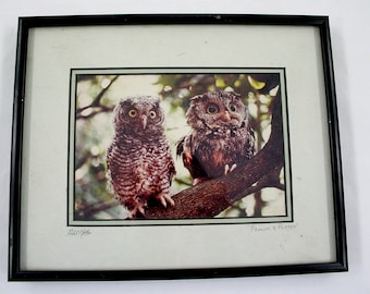 Vintage Framed Owl Photograph - Peanut and Puffer - Robert Matthis