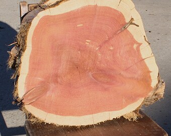 12" to 19" Rustic Wood Tree Slice, Large Wood Piece, rustic wedding cake base, cake stand, centerpiece, woodland barn outdoor party or event
