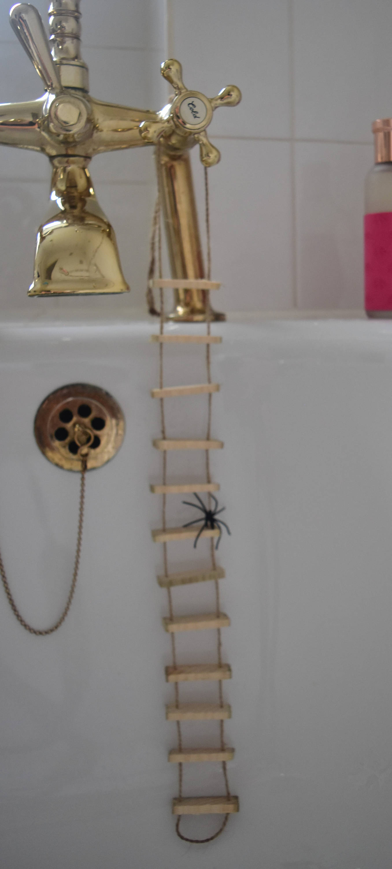 Spider ladder Ideal stocking filler