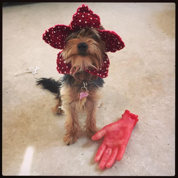 The Demogorgon dog hat. Demodog from Stranger Things. Uk