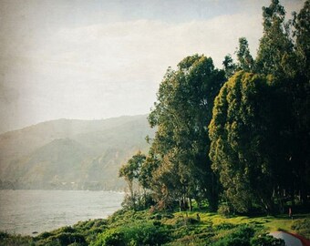 big sur photography // big sur art // outdoor travel gift - Outdoor Type, ready-to-hang, Big Sur California Photography, art on canvas