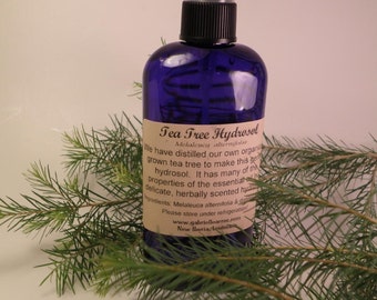 Tea Tree Hydrosol, Organically Grown - Copper Still
